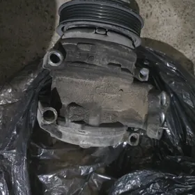 Kampiresir 2.5 Öküz kele