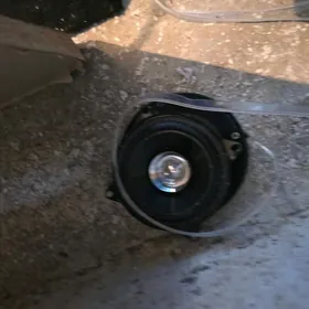 bas bochka uselitel kolonka