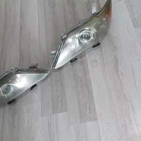 Toyota cemri fara okuz kelle