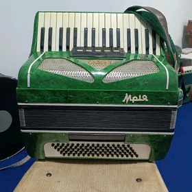 Akardion Akkordeon