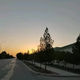 Taze Zaman ️ тазе заман