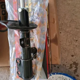 Amartizator Duty kemri