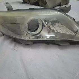 okuzkelle fara amerikanka 2011