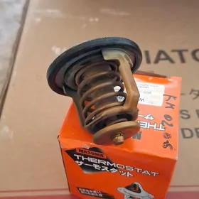 Termastat Duty kemri