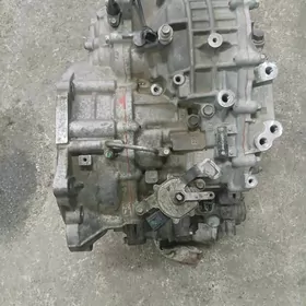 Elantra wariyator karapka 2019