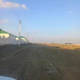 Elitka ýyl suw yol ugry