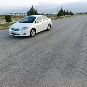 Toyota Corolla 2010