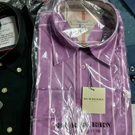 эркек койнек аргинал