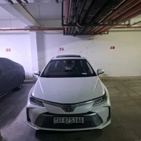 Toyota Corolla 2021
