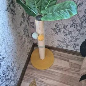 когтеточка для,кошки