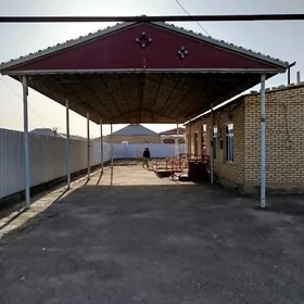 Satlyk jay Howly jay