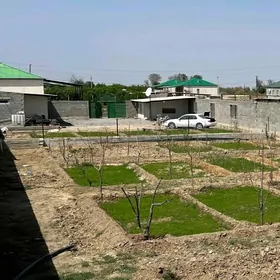 Mellek ýer 24 sotyk