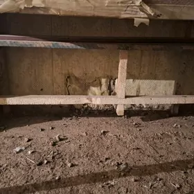 скамейка, стол