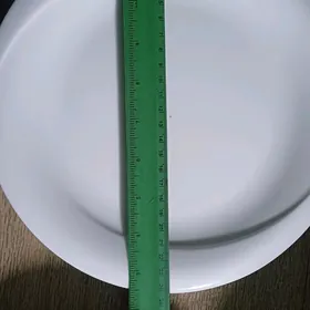 toy zal ucin pasudalar