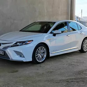Toyota Camry 2020