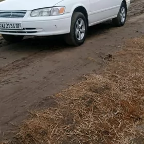 Toyota Camry 1999