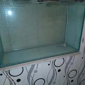 товары для животных