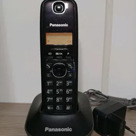 Panasonic