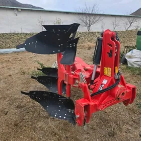 Asma azal yer suryan