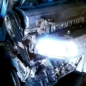 karona mator karopka