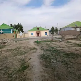 satlyk eyesinden jay