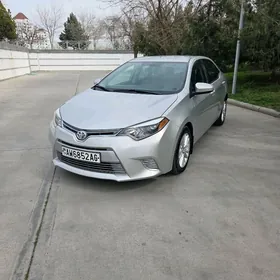 Toyota Corolla 2013
