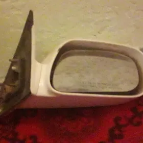 duty kemri zad niwik morda