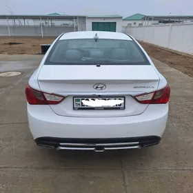 Hyundai Sonata 2010