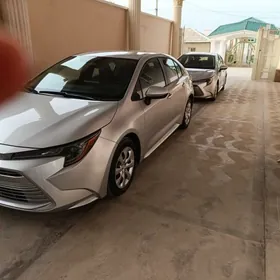 Toyota Corolla 2023