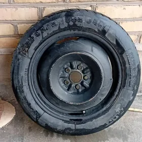 дисга тигир