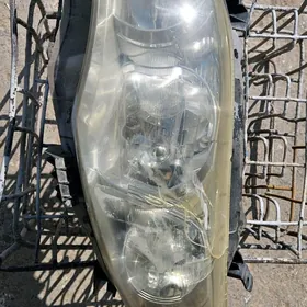 carolla 11 cep tarapy