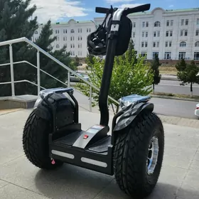 TIGIR MATOR KARSOK PARTA ROLIK