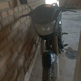 Fekon FK200-14G 2024