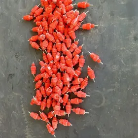 жуже учин капилар