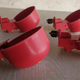 Автоматический поилки