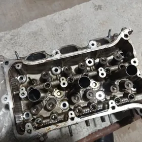 galowka golowka siena Highlander