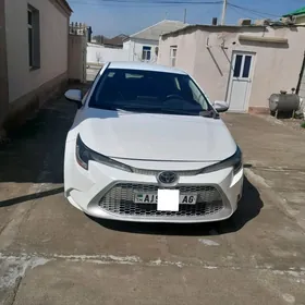 Toyota Corolla 2021