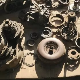 Siena karopga 350 2011