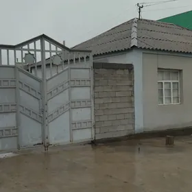 taze gami 10 sotok yer