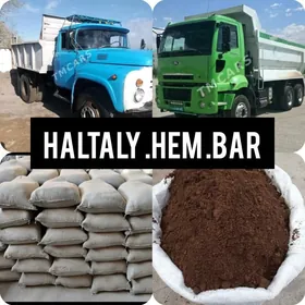 MITI SEMENT DERS GRAMASSA GUM