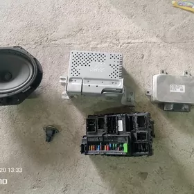 Explorer Morda Datcik