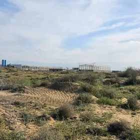 Önumçilik üçin ÿer Satlyk