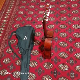 Valencia Guitar Indoneziya 