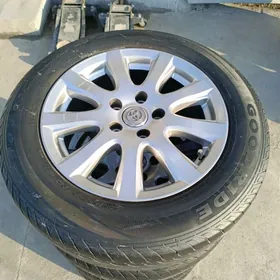 16 awyryon disga pakrişga