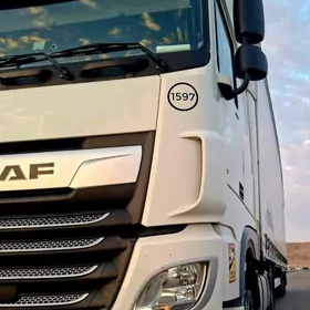 DAF 480 2019