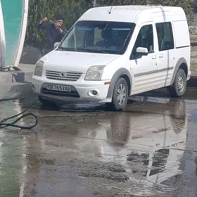 Ford Transit Connect 2010