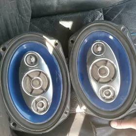 Pioner Arginal kalonka