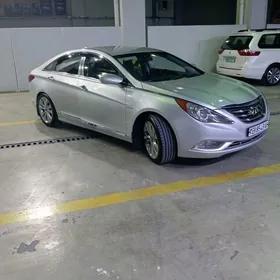 Hyundai Sonata 2010
