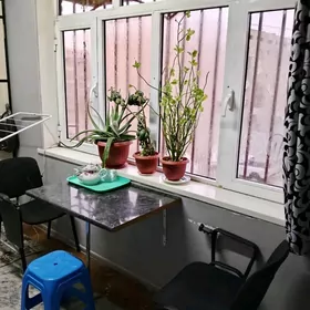 сдается квартира