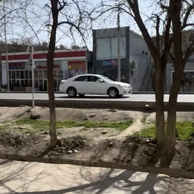 satlyk jay eyesinden